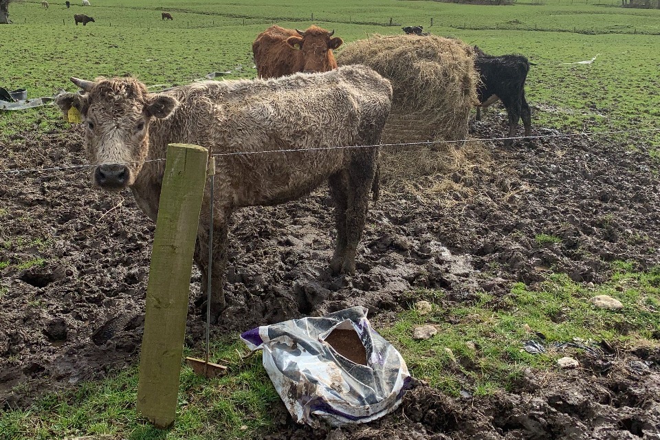Imagem relacionada à notícia: O agricultor Devon foi processado em conjunto sobre condições de "película de horror"