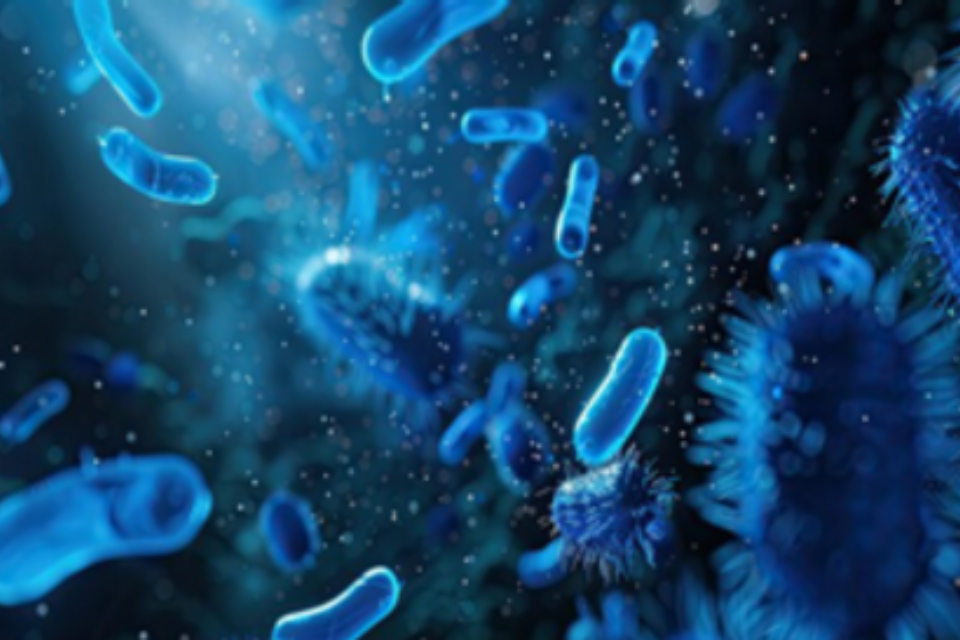 MHRA estabelece posição sobre a regulação de medicamentos baseados em microbiomas