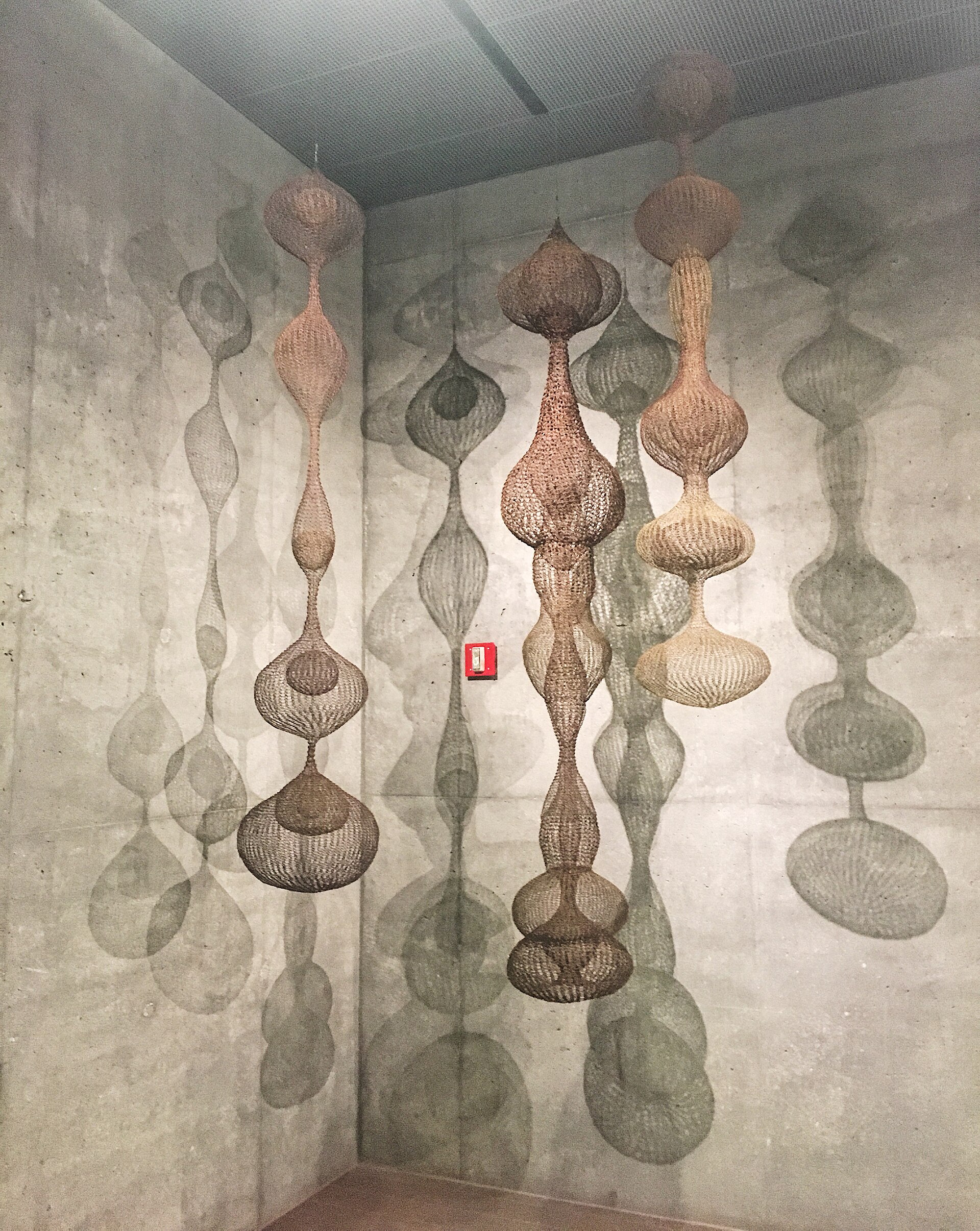 Imagem de referência de Ruth Asawa, descrito nos dados abertos como escultora estadunidense