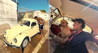 Daniel Erthal detona Serginho Hondjakoff na frente do peão: ‘Mentiroso, de bobo não tem nada!’