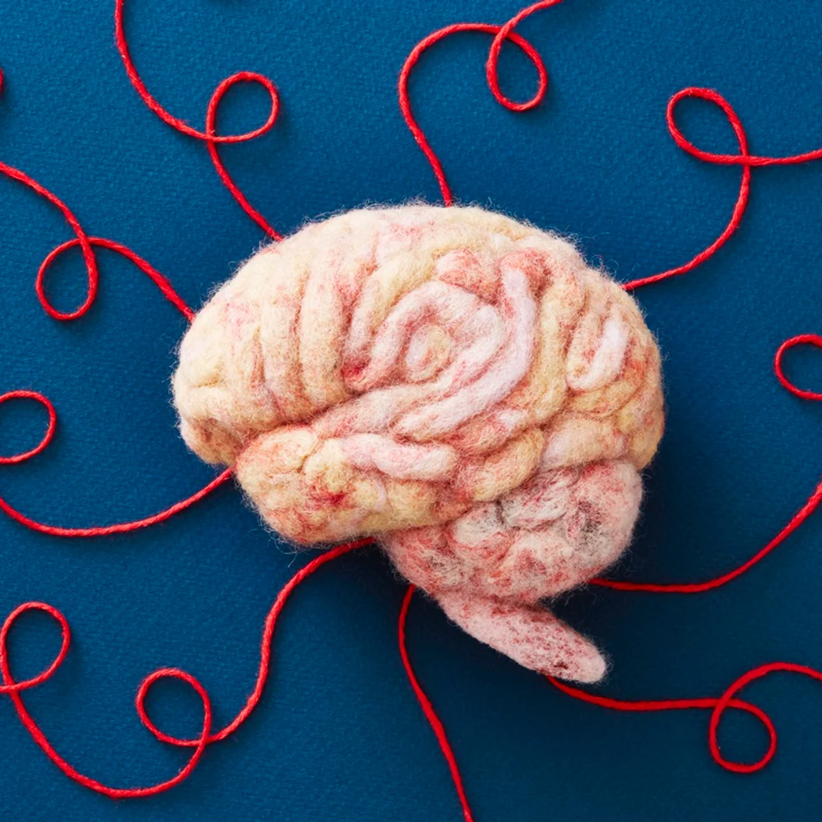Simpósio discute neurodiversidade com foco em cuidado individual