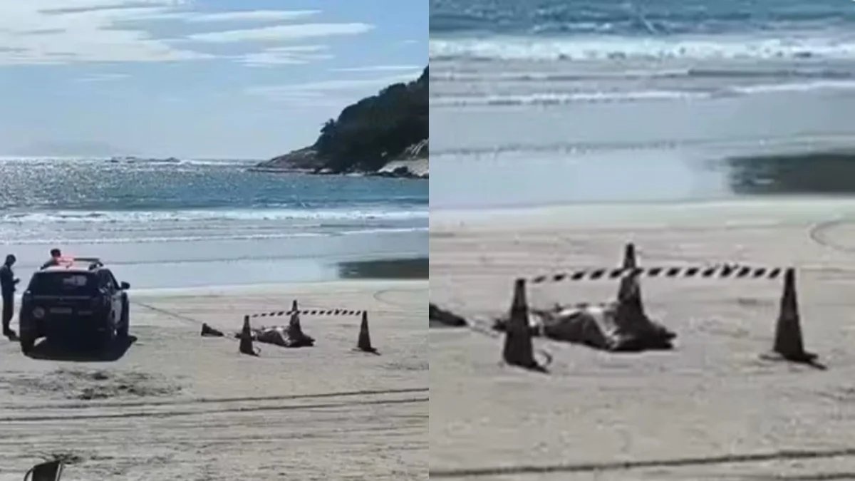Motorista de app é encontrado morto em praia após 5 dias desaparecido