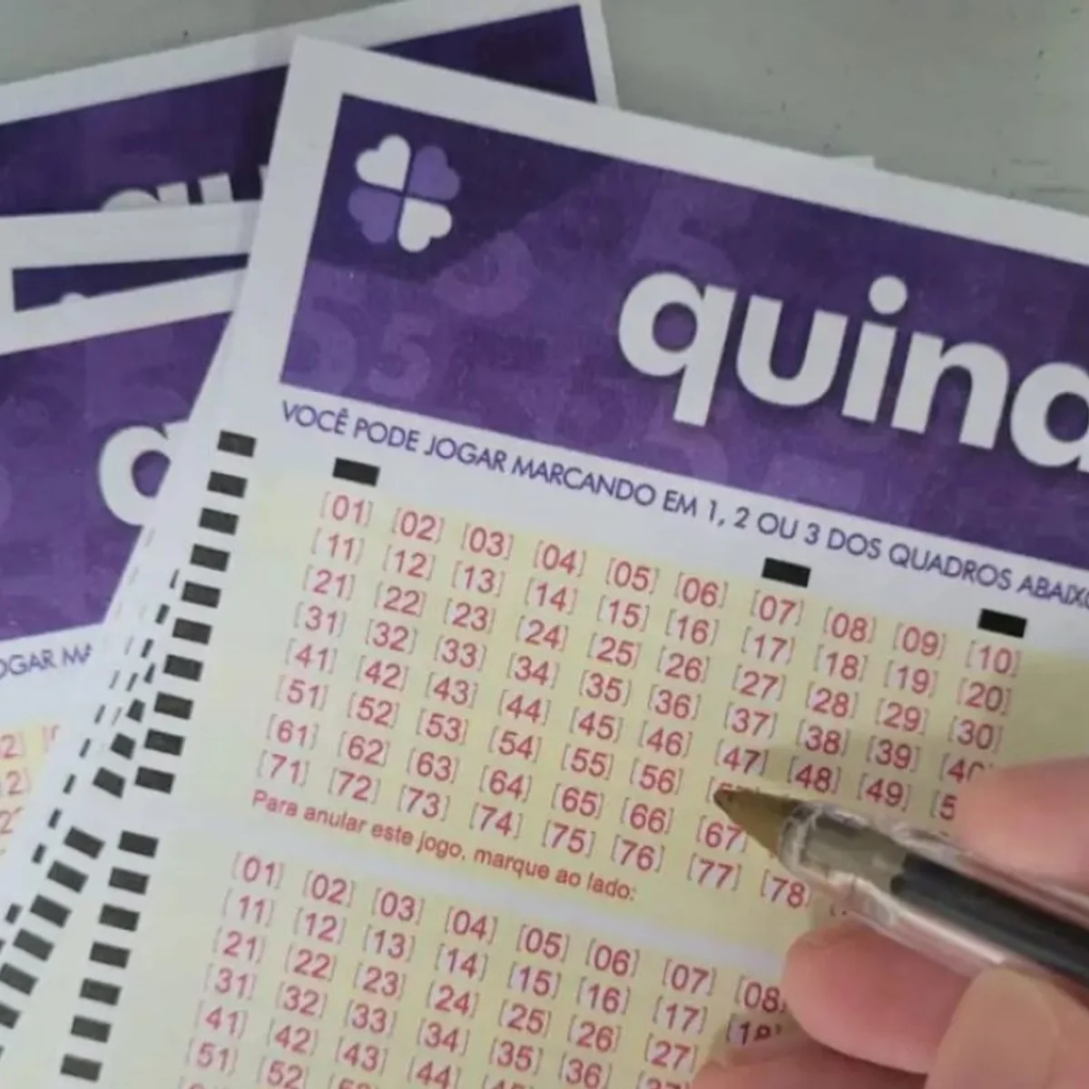 Quina 7148 acumula e prêmio atinge R$ 57 milhões. Confira resultado