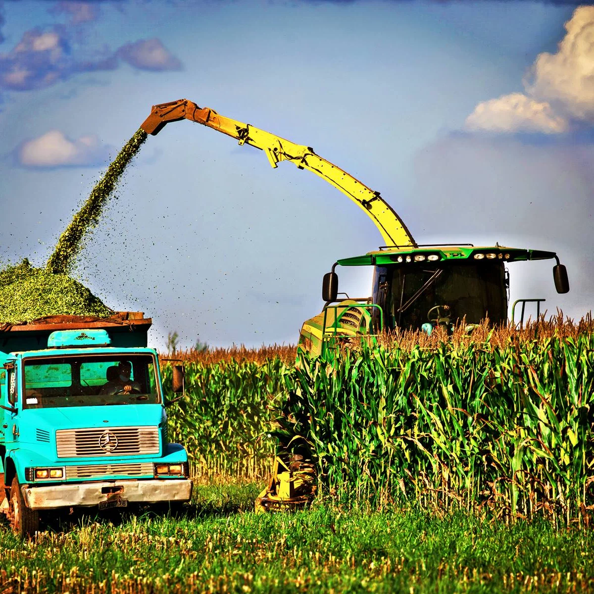 IBGE eleva previsão de safra em 2026 com 354,5 milhões de toneladas