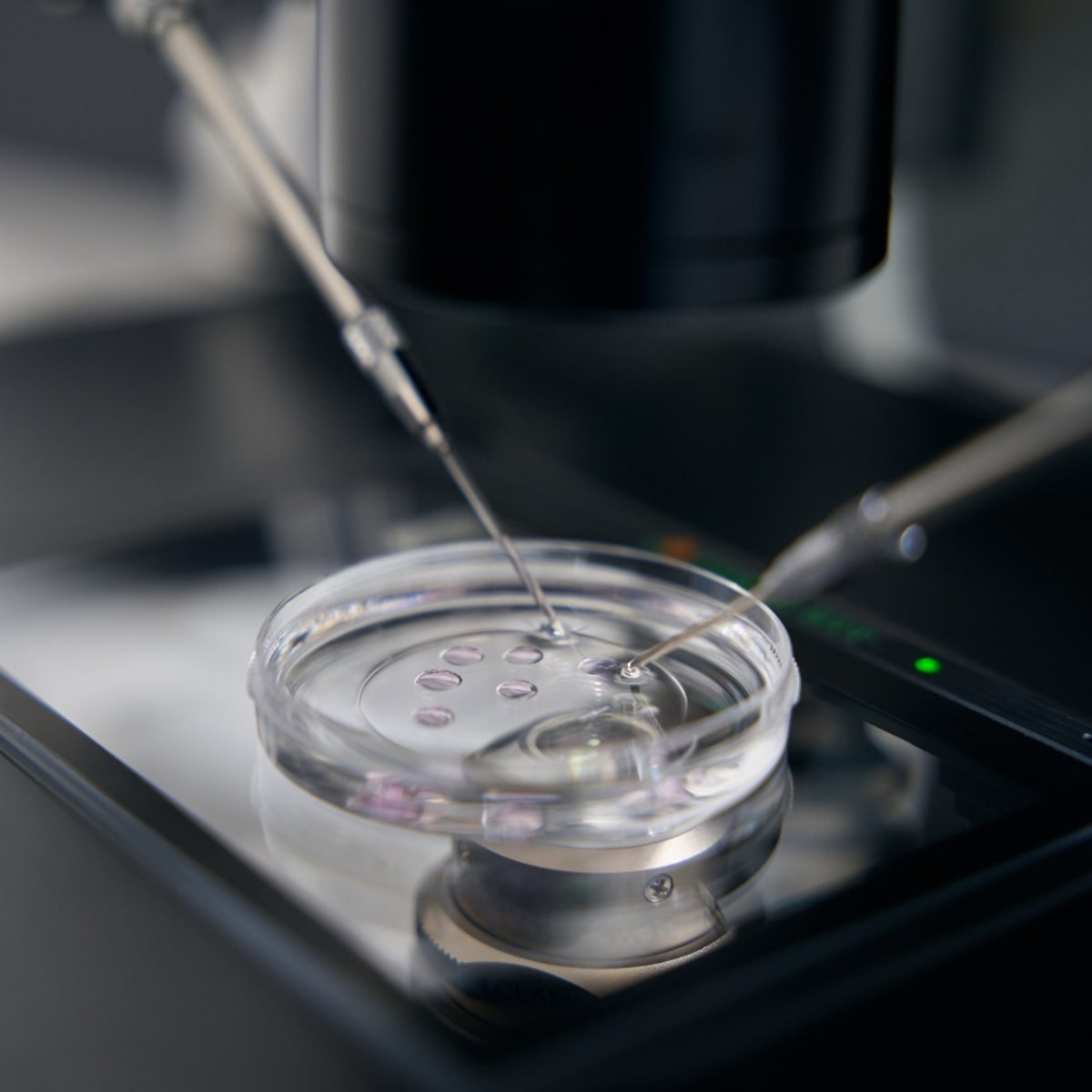 Fertilização in vitro: teste genético de embriões não aumenta taxa de gravidez entre mulheres jovens