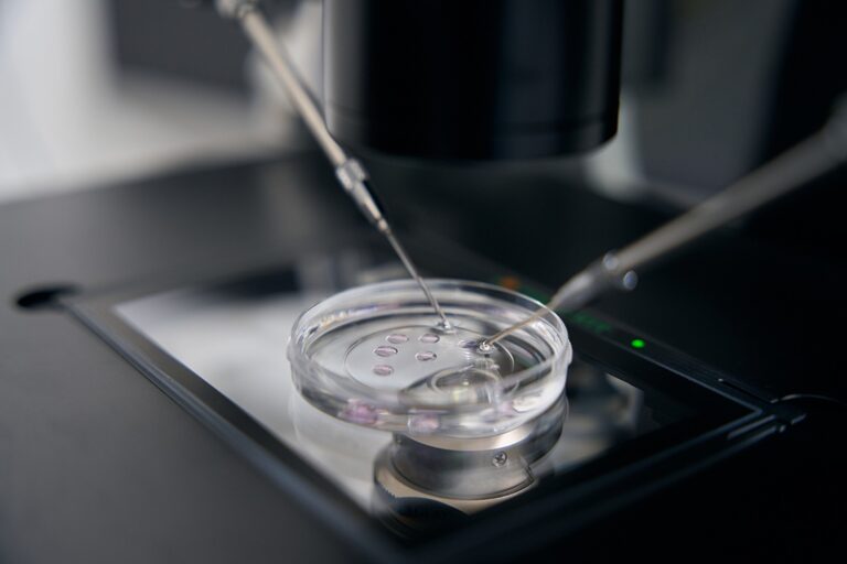 Fertilização in vitro: teste genético de embriões não aumenta taxa de gravidez entre mulheres jovens