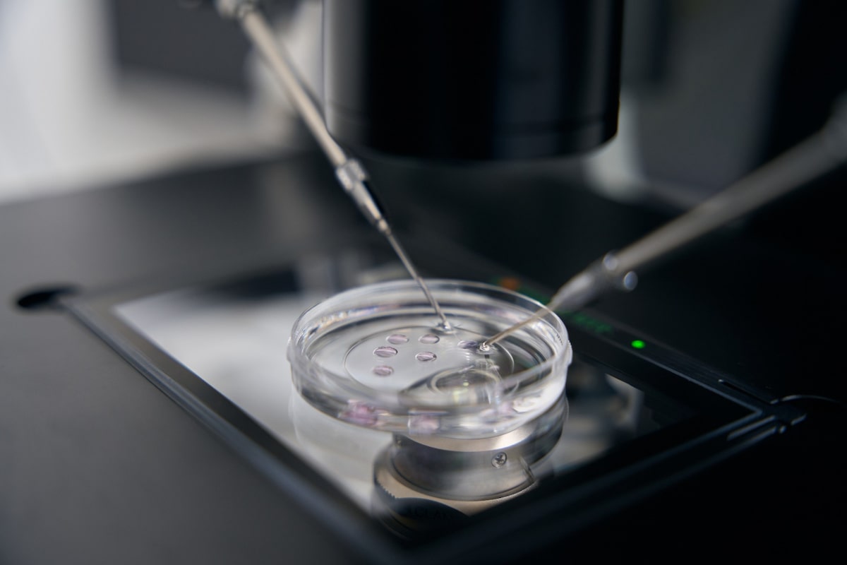Fertilização in vitro: teste genético de embriões não aumenta taxa de gravidez entre mulheres jovens