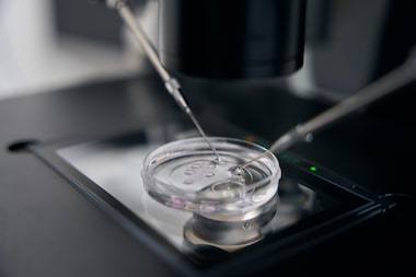 Fertilização in vitro: teste genético de embriões não aumenta taxa de gravidez entre mulheres jovens