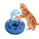 Top 10 Melhores Brinquedos para Gato em 2022 (Ratinho, Papelão e mais)